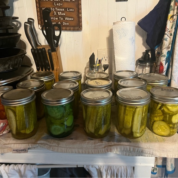 Meet your Posher, Lainey - Picture 3 of 4